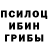 Галлюциногенные грибы Cubensis will Bedford