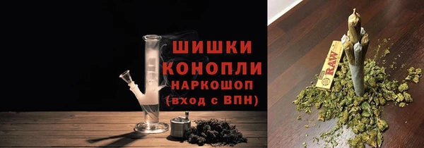 амф Липки