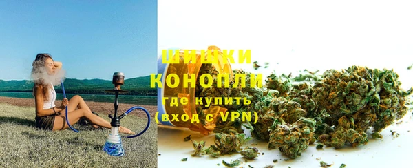 амф Липки