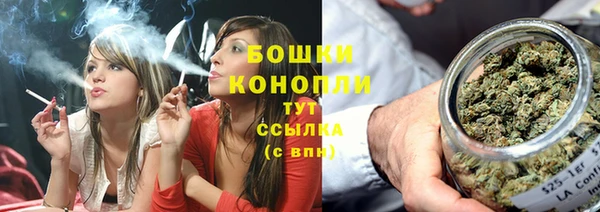 амф Липки