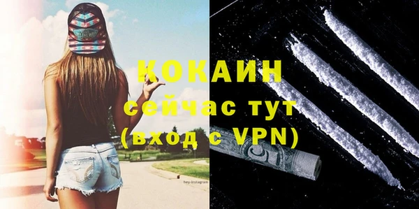 амф Липки