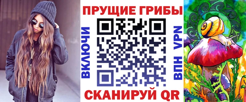 где продают   Чебаркуль  Галлюциногенные грибы Psilocybine cubensis 