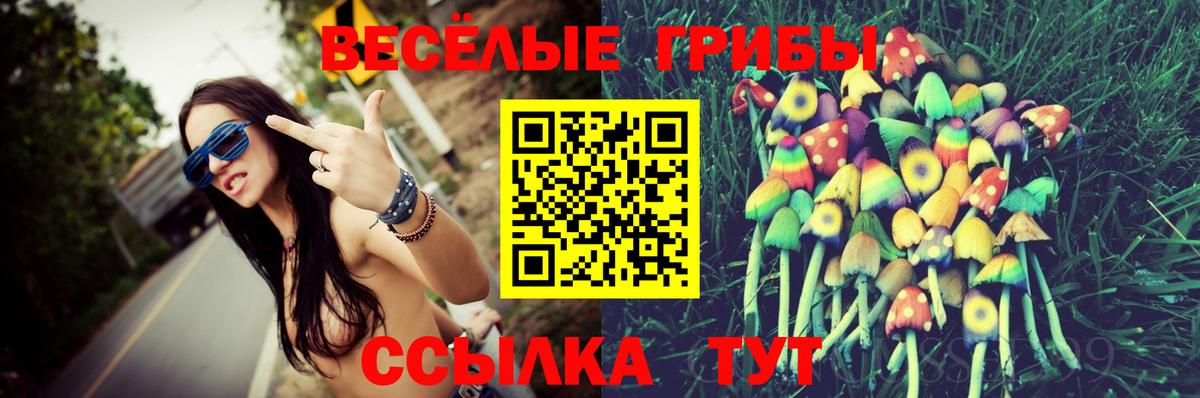 Псилоцибиновые грибы GOLDEN TEACHER  Вход с VPN  Чебаркуль 